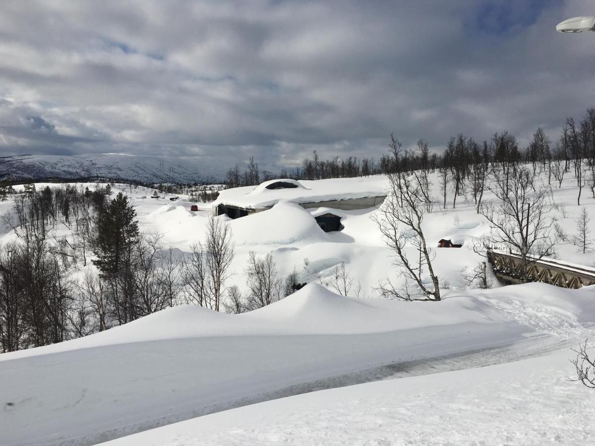 Basecamp Nord - Indoor Camping Hotell Moen i Målselv Eksteriør bilde